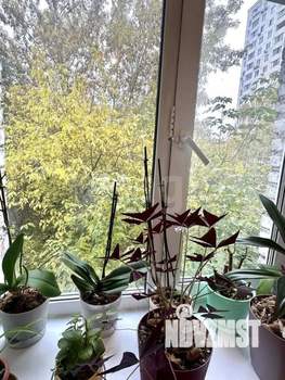 1-к квартира, вторичка, 32м2, 2/5 этаж