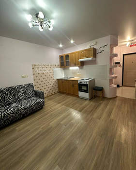 Студия квартира, вторичка, 24м2, 8/17 этаж